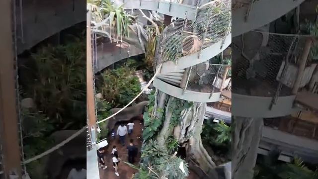 Rainforest In UAE The Green Planet DUBAI indoorrainforestdubai