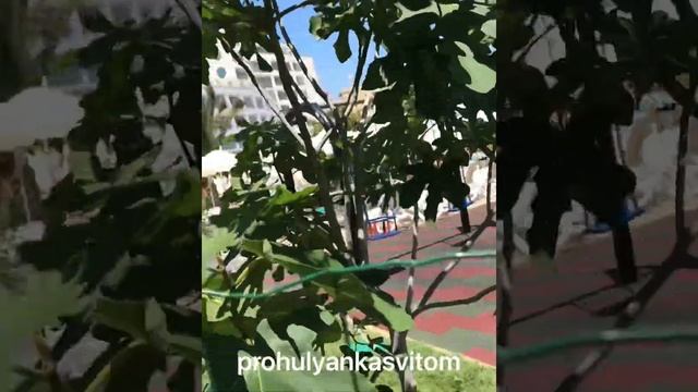 @Болгарія, готель Neptun Beach-2022 смотреть онлайн