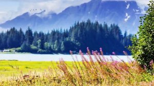 Peaceful Music, Relaxing Music, Instrumental Music Mountain Sunrise by Tim Janis