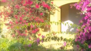 THE THREE CORNERS 5*****FAYROUZ RESORT...