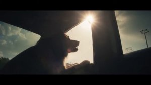 2020 yilda oy tutilish kuzatilmoq