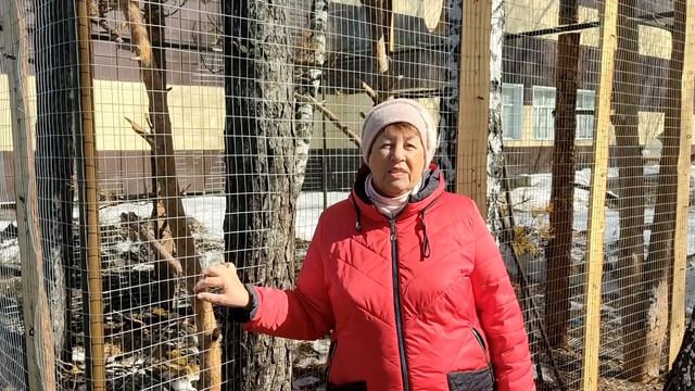 Белкам в парке быть!.. смотреть онлайн