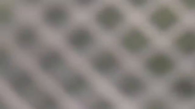 Lavaverdure per uso professionale - Vegetable Wash LAV Fimar Spa смотреть онлайн