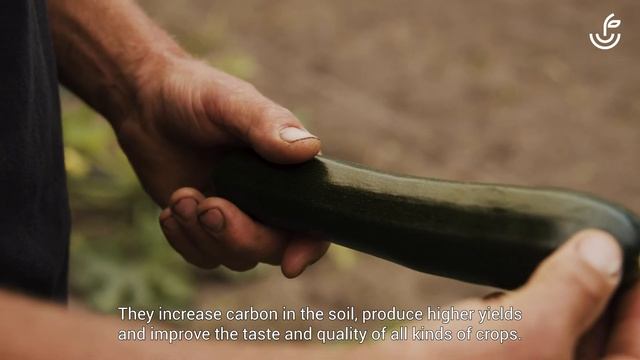 Organic Fertilizers and Biostimulants - Benefert Corporate film смотреть онлайн