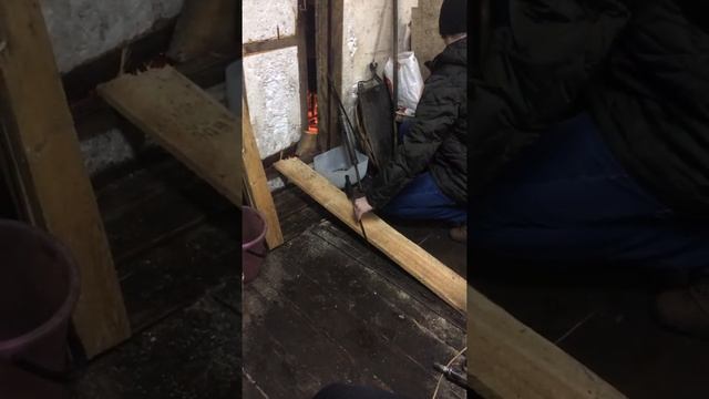 Приколы 2016 смотреть онлайн