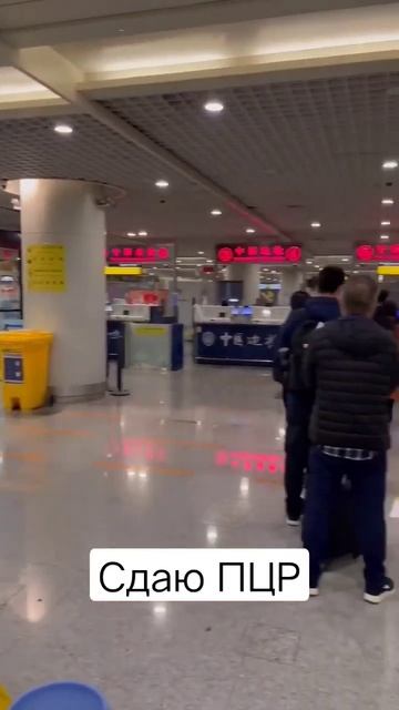 ПЦР-тест в аэропорту Чэнду | PCR test at Chengdu airport. смотреть онлайн