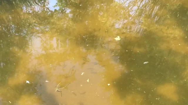 Helios - 44m and Jupiter - 37A. Examples of photos. смотреть онлайн