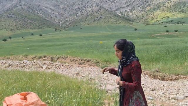 The journey of Saleh's wife's mother and orphaned children to prepare grass for the sheep смотреть онлайн