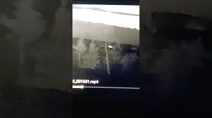Лис счастливчик уходит от 308 калибра. Аркон ll 35. Видео не скаченное.Съёмка в объектив прицела.