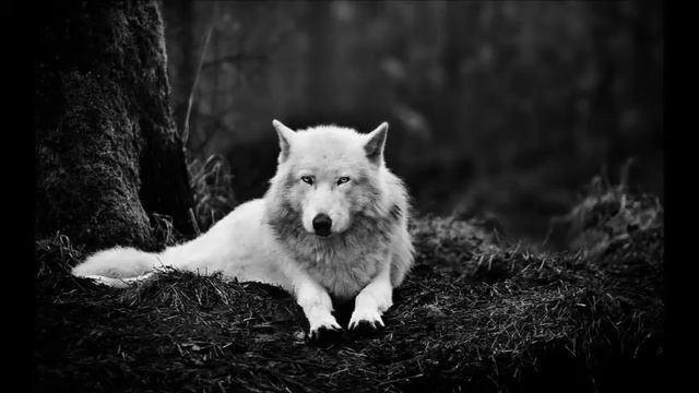 30 Seconds To Mars Feat. Kanye West - Hurricane (CJ Tim Remix) смотреть онлайн