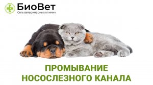 Промывание носослезного канала
