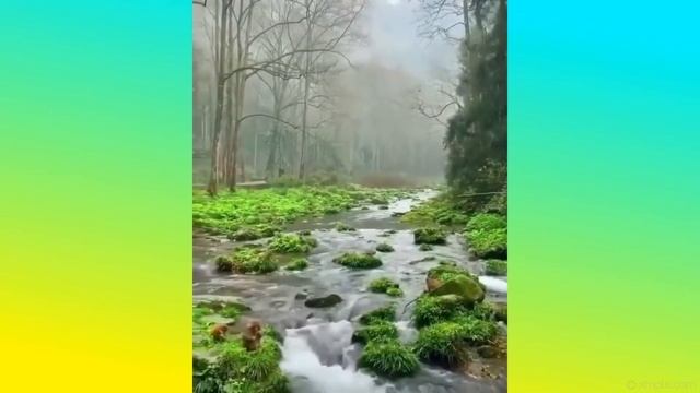 Magic of the Planet | ► # 3 смотреть онлайн