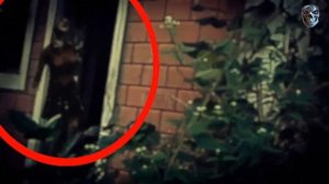 “Лучший сборник” Ужасные существа, призраки, привидение, злые духи.