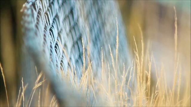 Yashica Yashikor 200mm f/3.5 (Image quality filming) (M42) смотреть онлайн