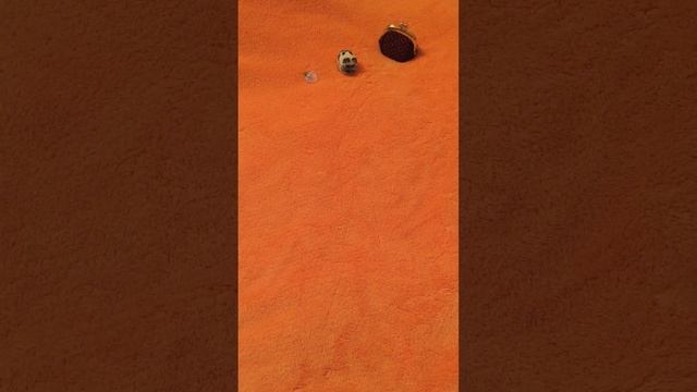 Новолуние 05 мая - денежное смотреть онлайн