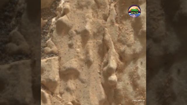 Curiosity Rover Captured This on Mars || Strange Coral Like Rock on Mars