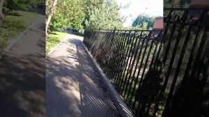 Воскресный сбор гавваха