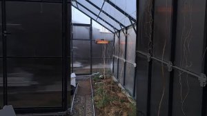 Инфракрасные лампы в теплице.