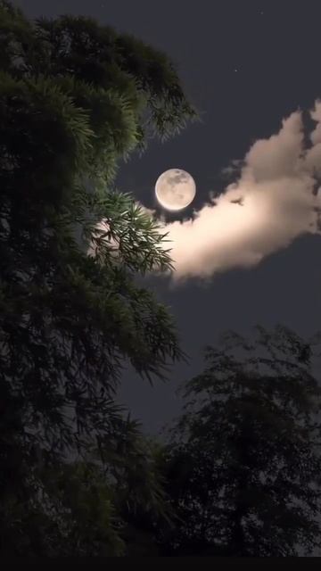 night time moon light moon love#naturephotography #trending #moonlover #moonlight #evning