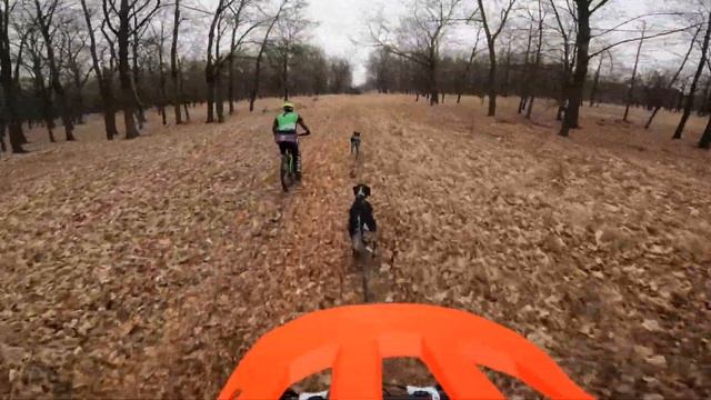 Bikejöring Ragnar - Taksony I 4,77 km смотреть онлайн