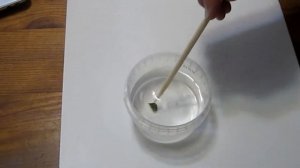 КОРМ ДЛЯ КРЕВЕТОК ИЗ ШПИНАТА СВОИМИ РУКАМИ БУЦЕФАЛАНДРЫ ЗАЦВЕЛИ. аквариумистика аквариумные растения