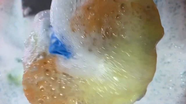 Ocean Paradise Fabuloso  Comet