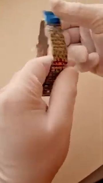 Часы Восток Амфибия 12 смотреть онлайн