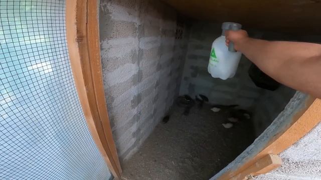 Collecting 5 Days of Quail Eggs - Quail Sounds and Coop Cleaning - Roaming Chickens - Farm Chores смотреть онлайн