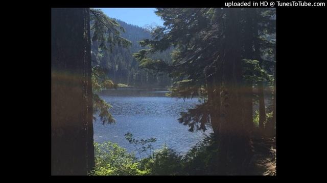 [free] interlude xxxtentacion + skin type beat "woods" смотреть онлайн