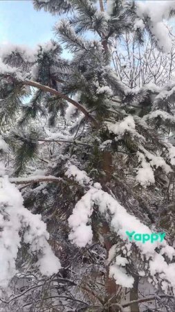 Закончилась зимняя сказка