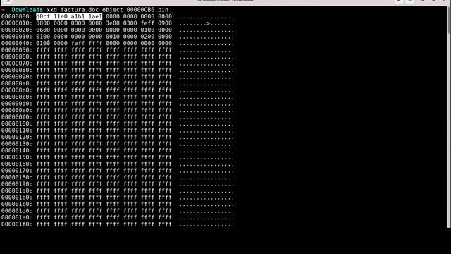 How to do malware analysis on a file - #malwareanalysis
