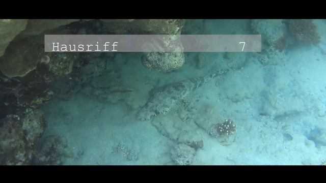 Brayka Bay Resort Marsa Alam Ägypten Hotelbewertung смотреть онлайн