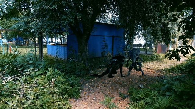 каждое утро моих уток ели пришельцы я их пояймал #news #new  #blog #Shorts смотреть онлайн