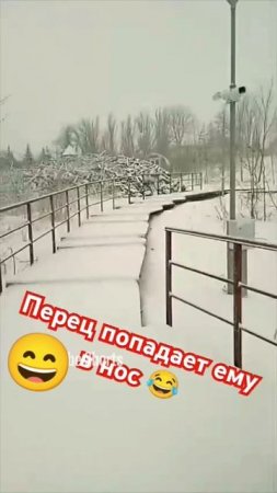 низко подбрасываем собаку🤣