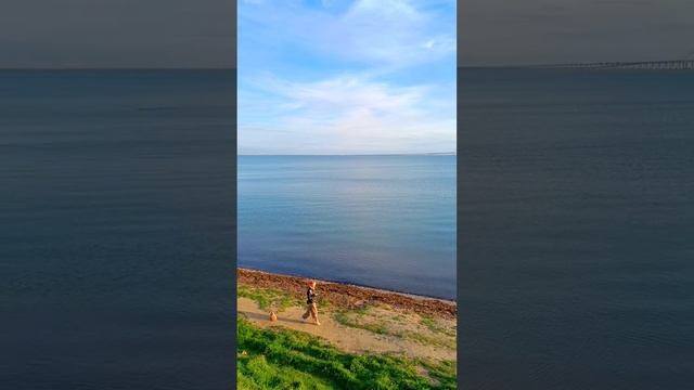 6 апреля 2023 г. смотреть онлайн