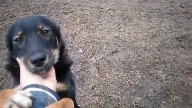 Весёлый Марс смотреть онлайн