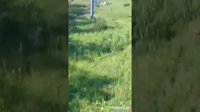 канатная дорога в абзаково смотреть онлайн