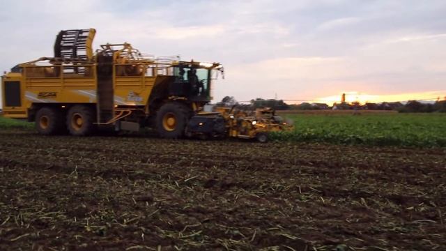 ROPA TIGER ROPA TIGER 6 смотреть онлайн