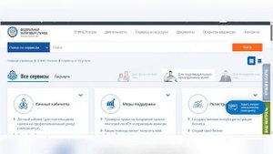 Как меня видит налоговая