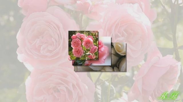 А ты как весна!