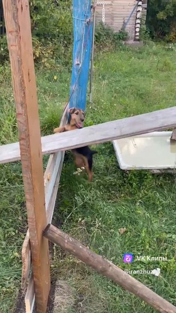Упражнение на смекалку