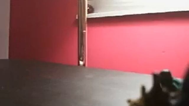 Clay on Crack: episode 2: Zombi slayer смотреть онлайн