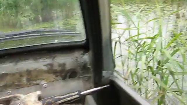 болото.AVI