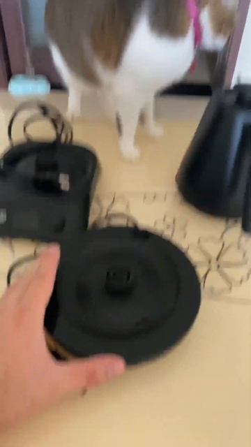 Проверка чайника 2 #товарыизкитая #бизнесскитаем #бизнеснамаркетплейсах #чайники #чайник #торговля смотреть онлайн