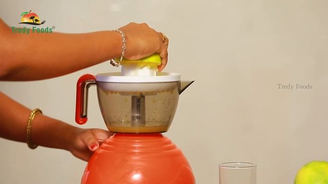 Electric Juice Maker