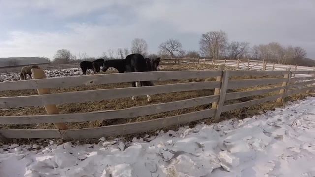 Влог || февраль - март 2018 смотреть онлайн