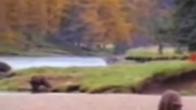 типичное видео 2009 года смотреть онлайн