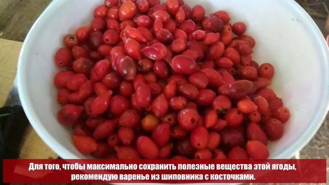 Как сварить варенье из шиповника с косточками