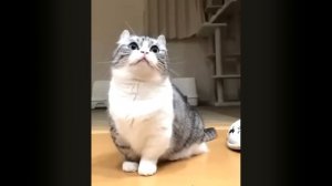 я просит бананчики 10 часов