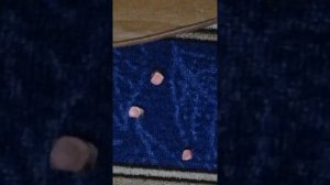 Песня посвищается мясцу песня про мясо